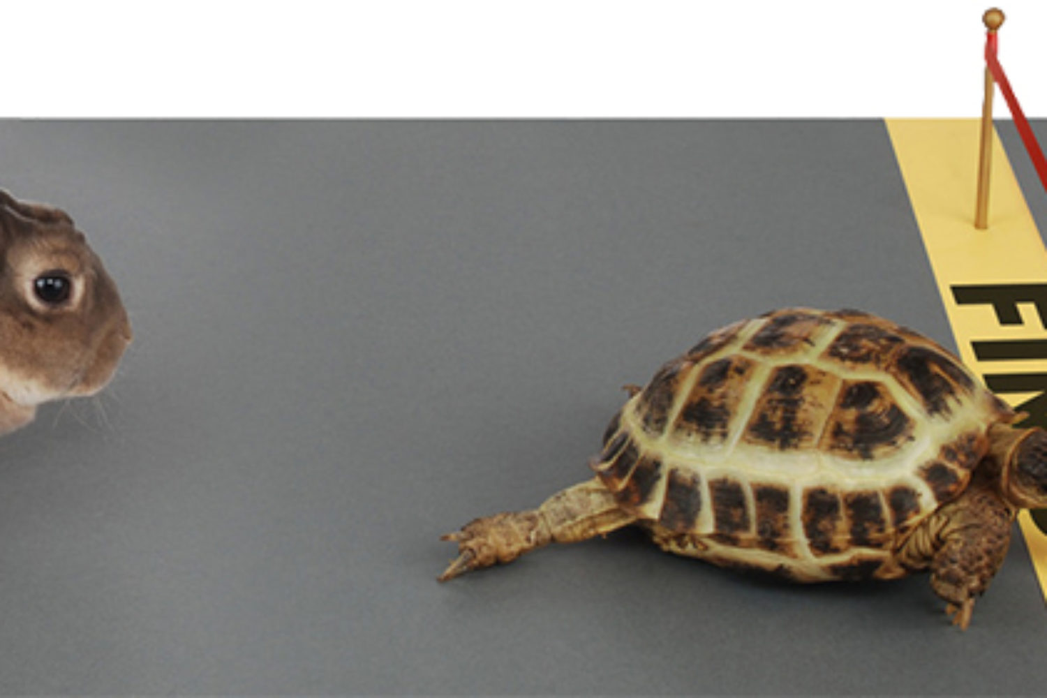 Patience Key to Success SEO