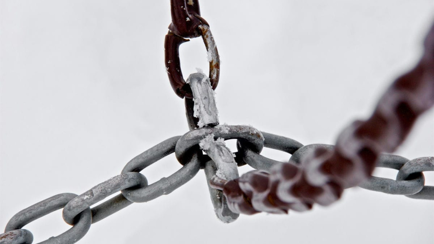 Are Internal Links Important to SEO