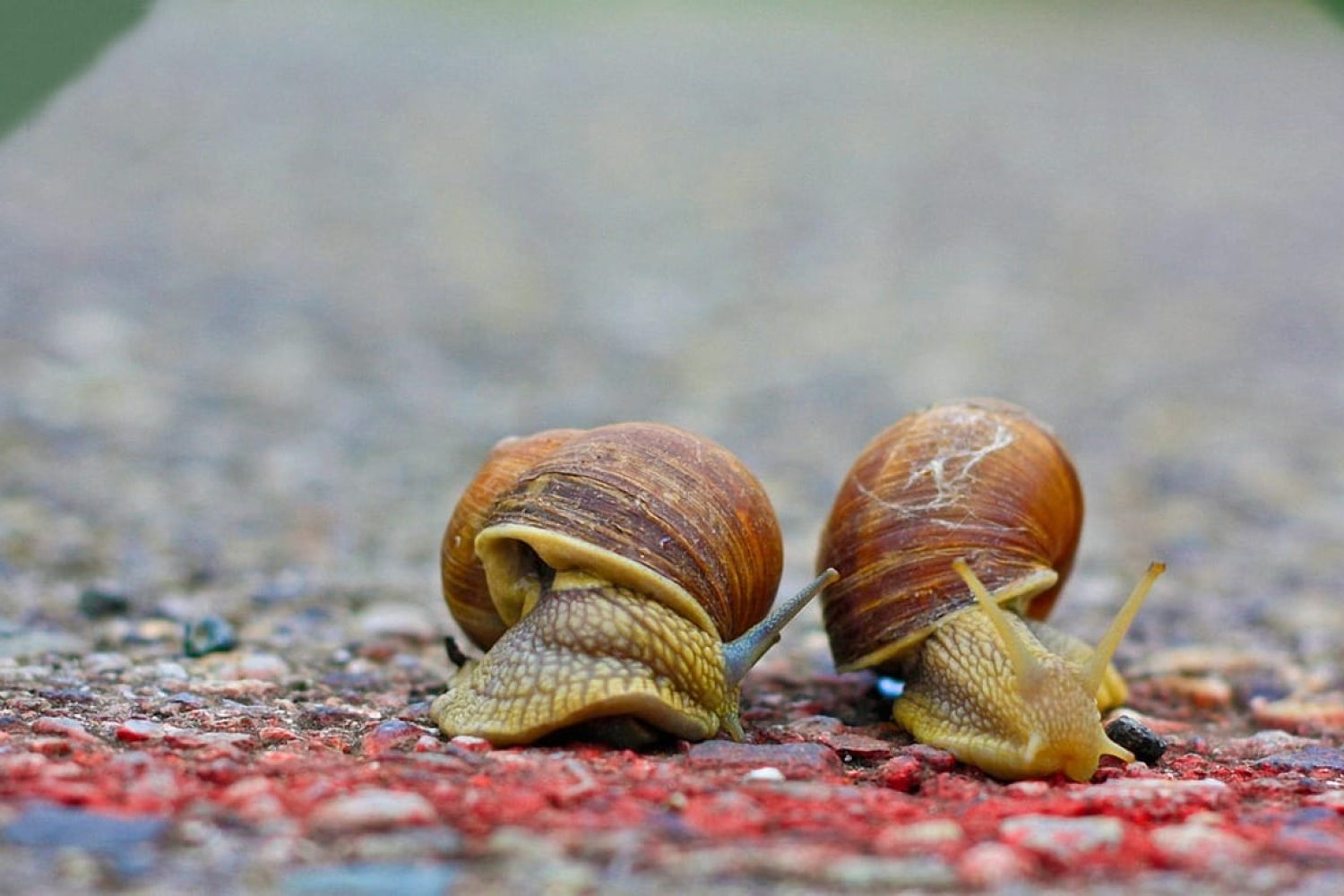 Patience is a critical element of a successful SEO strategy