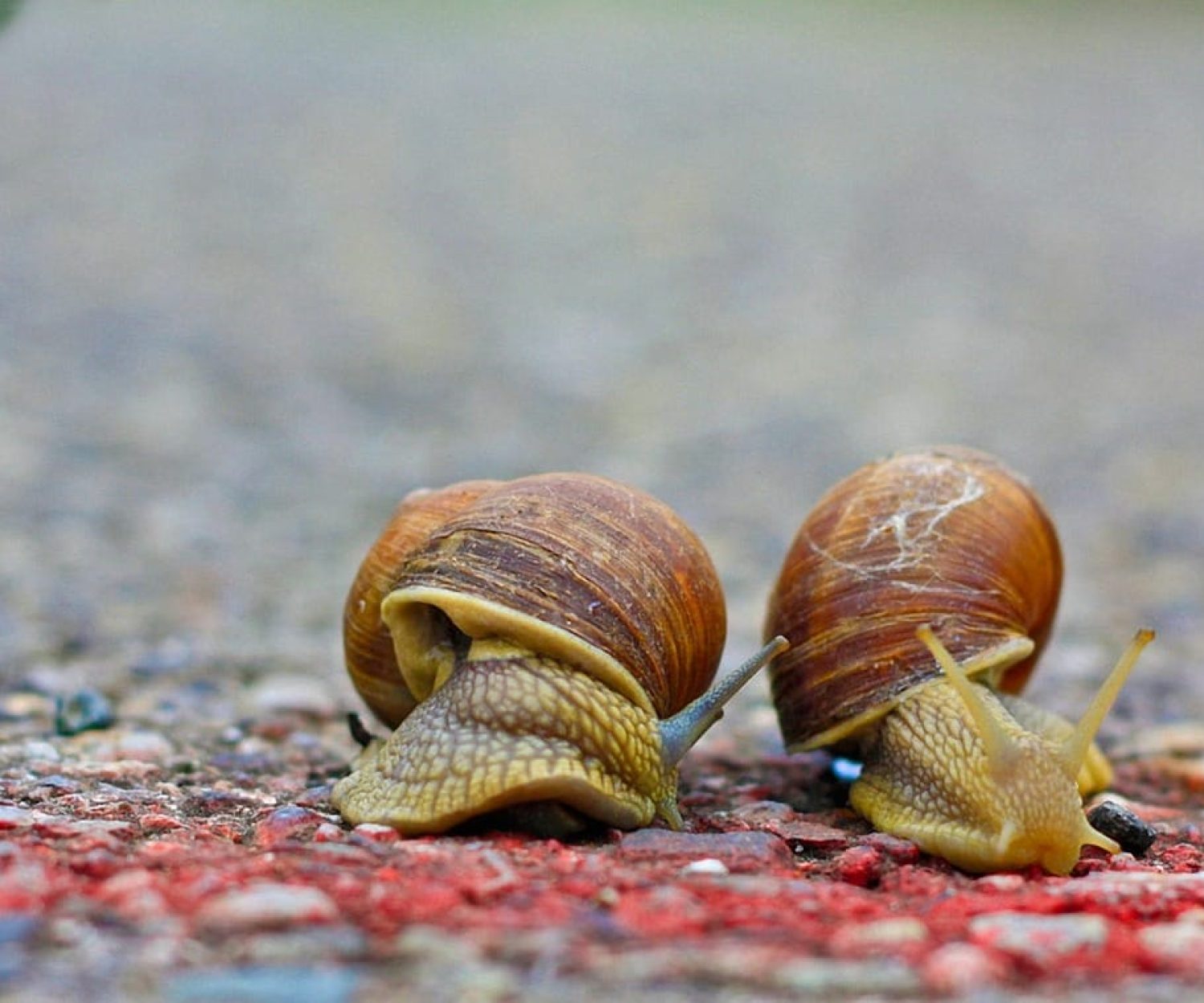 Patience is a critical element of a successful SEO strategy